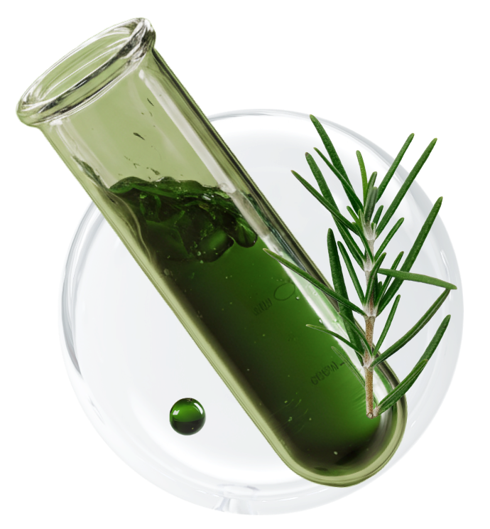 Test tube filled with green liquid placed on a clear petri dish with a sprig of fresh rosemary.