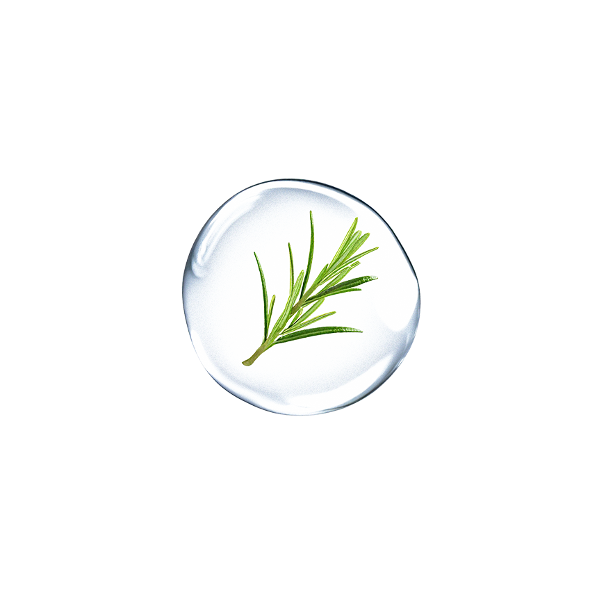 Green rosemary sprig encapsulated in a clear water droplet.
