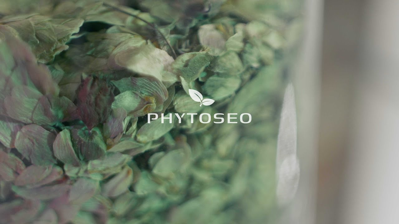 Close-up of dried green leaves with the word 'PHYTOSEO' and a two-leaf logo overlayed.